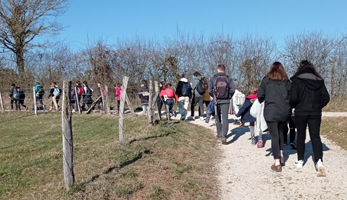 20220331_Falcute_dehors