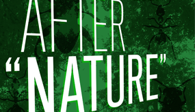 Meeting-after-nature