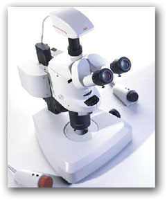 Leica Stromicroscope MZ16