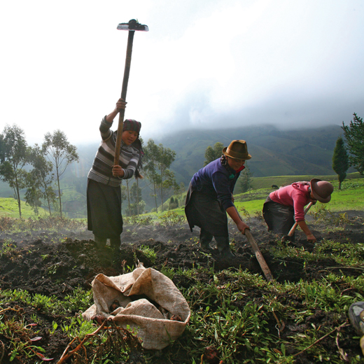 trois personnes dans un champ avec des outils dans les mains