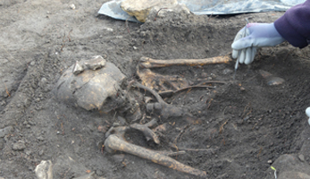 instant-archeo-25-26-Lure