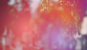 Plateforme-nationale-pour-la-recherche-sur-la-fin-de-vie