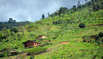 Rwanda-une-autre-revolution-verte