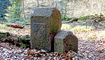 Seminaire-Heritages-culturels-et-environnementaux-forets-vosges-saonoises