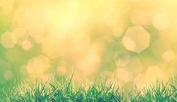 une-seule-sante-prendre-en-compte-les-inegalites